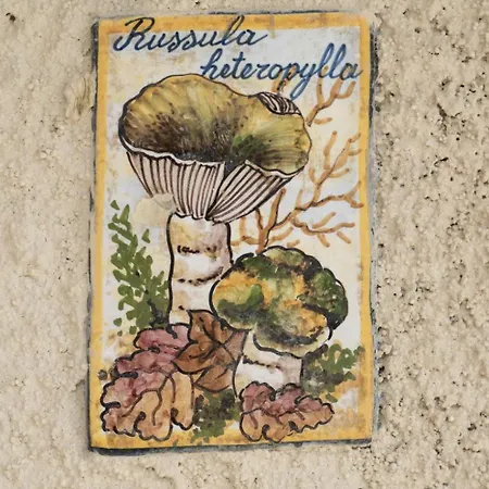 Casa Gemma לינה וארוחת בוקר