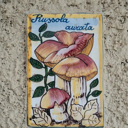 Casa Gemma לינה וארוחת בוקר Rimella