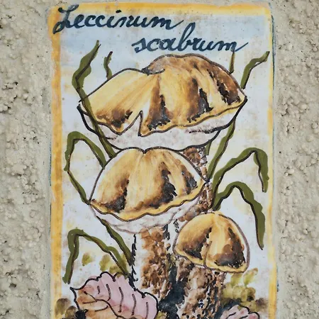 Casa Gemma Frühstückspension