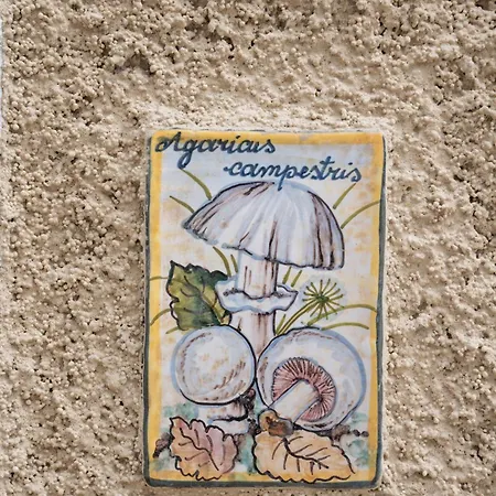 Casa Gemma Couette-café Rimella