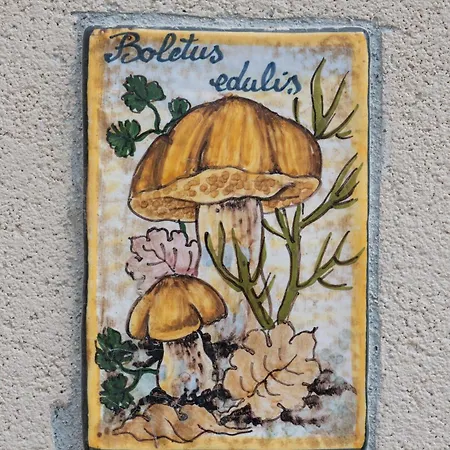 Casa Gemma ベッド・アンド・ブレックファスト 3*