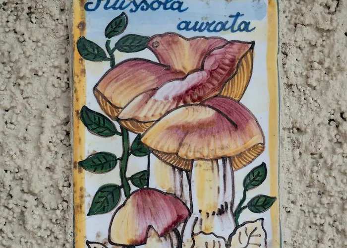 Casa Gemma Oda ve Kahvaltı Rimella